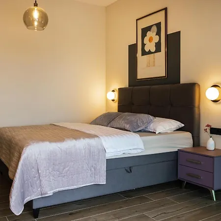 New Luxury Colorful With 60sqm Heated Pool, Jacuzzi, Sauna, 6 Bedrooms * Zmijavci